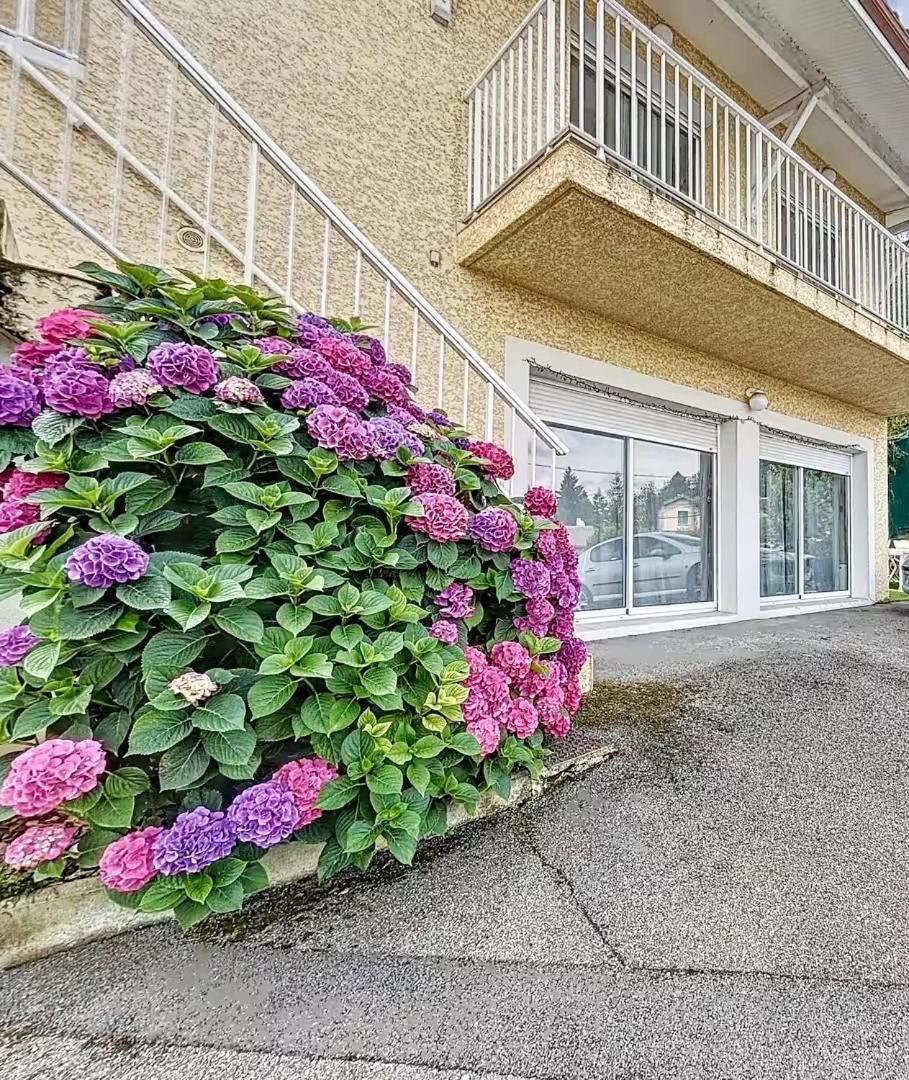 L'echappee Viennoise Apartment Vienne (Isere)